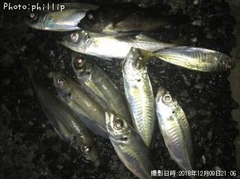 ��������Х�