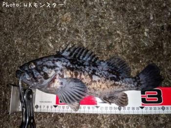 クロソイ