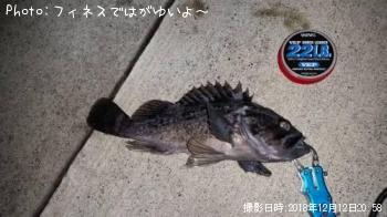 クロソイ