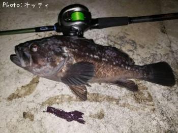 クロソイ