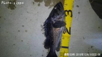 クロソイ