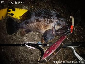 クロソイ
