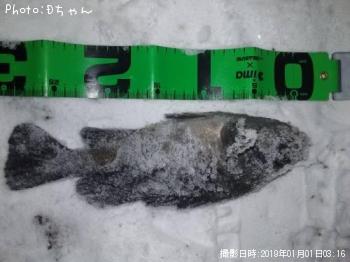 クロソイ