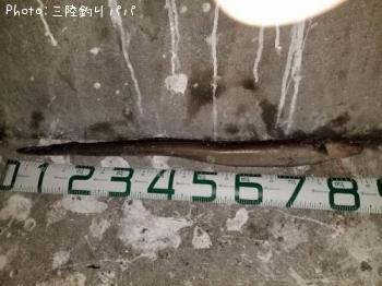 ʥ