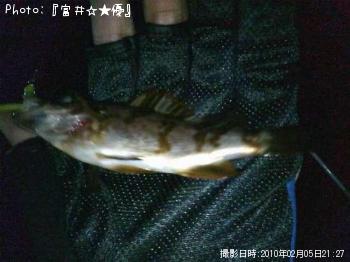 メバル