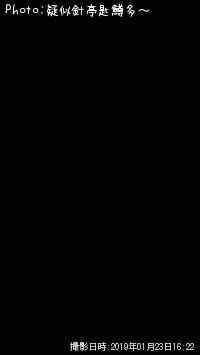 񡪡