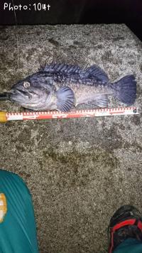 クロソイ