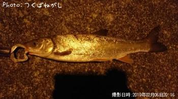 マルタ