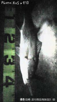 Х