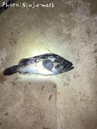 クロソイ
