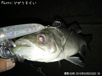 Хʥҥ饻