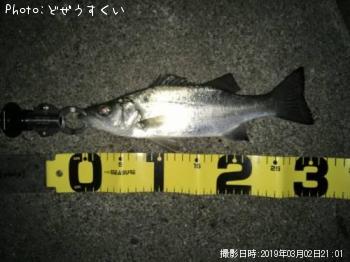 Хʥҥ饻
