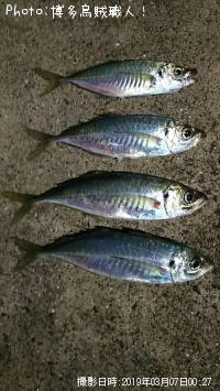 アジ