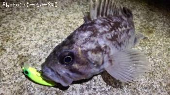 クロソイ