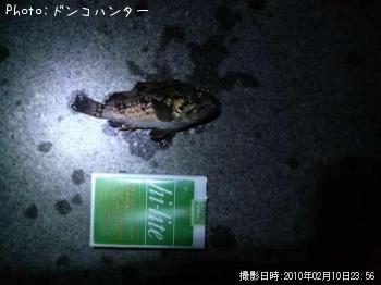 クロソイ