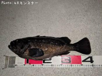 クロソイ