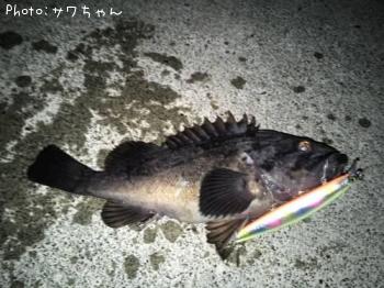 クロソイ