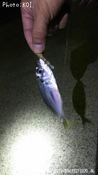 アジ