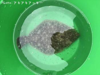 쥤