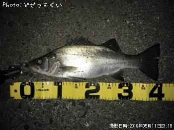 Хʥҥ饻