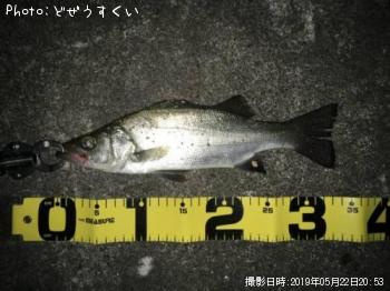 Хʥҥ饻