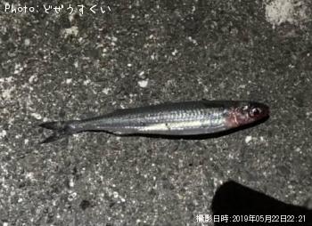 Хʥҥ饻