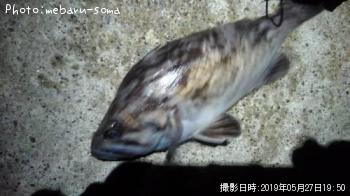クロソイ