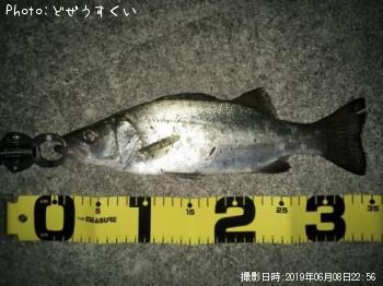 Хʥҥ饻