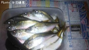 アジ