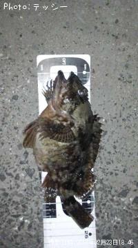 饫