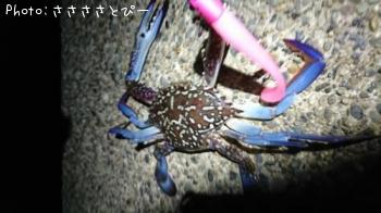 ޥ勵ꥬ