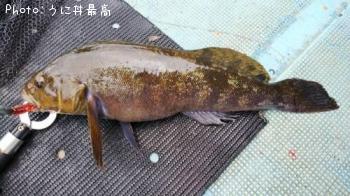 ʥ