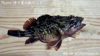 饫