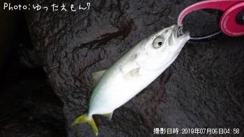ʥ