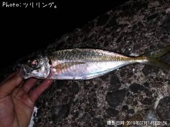 アジ