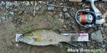 ブラックバス
