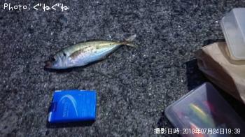 アジ