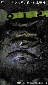 Х