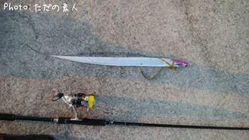 タチウオ