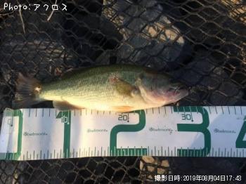 顼ޥХ