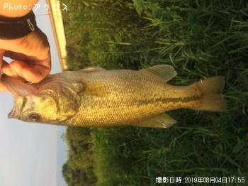 顼ޥХ