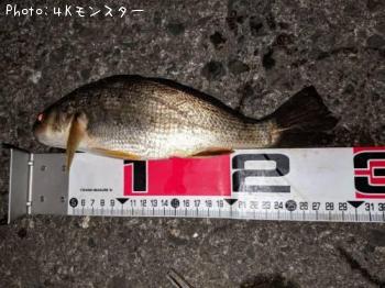 イシモチ