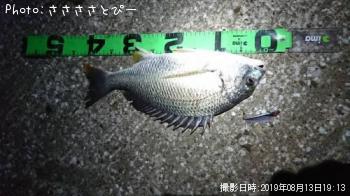 キビレ