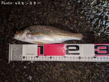 イシモチ