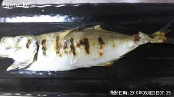 アジ