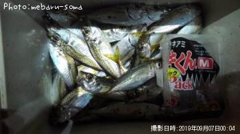 アジ