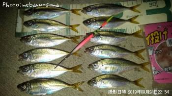 アジ