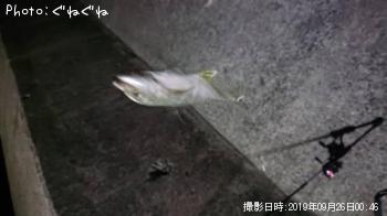 メッキ