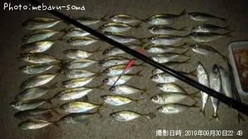 アジ