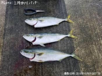 參